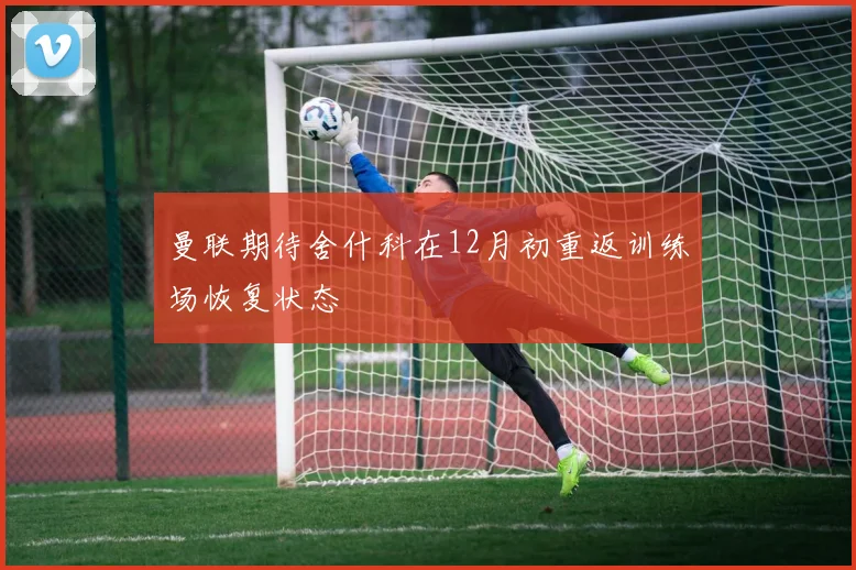 曼联期待舍什科在12月初重返训练场恢复状态