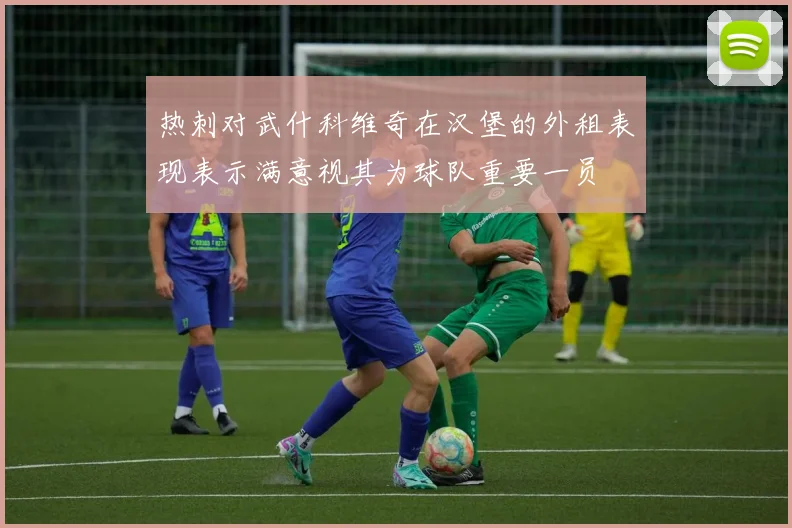 热刺对武什科维奇在汉堡的外租表现表示满意视其为球队重要一员