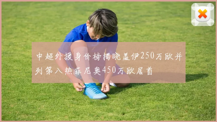中超外援身价榜揭晓盖伊250万欧并列第八热菲尼奥450万欧居首