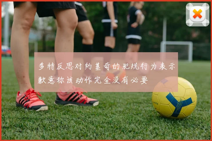 多特反思对约基奇的犯规行为表示歉意称该动作完全没有必要