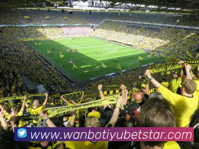 App Interface Preview