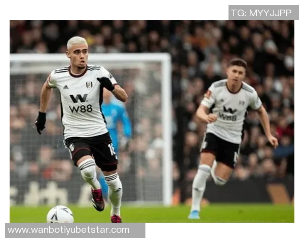 英超前瞻:桑德兰难敌利兹联水晶宫与热刺或将平局收场 英超前瞻:桑德兰难敌利兹联水晶宫与热刺或将平局收场